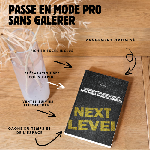 E-BOOK : Booster son activité Vinted efficacement
